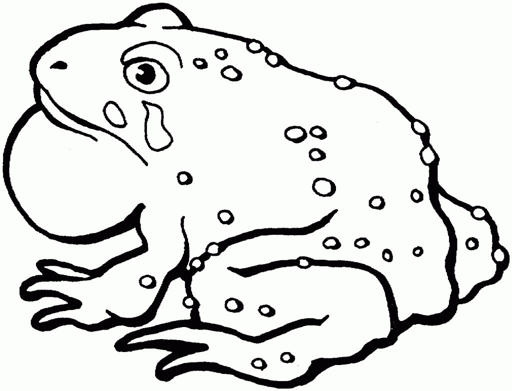 Big Toad Coloring Page