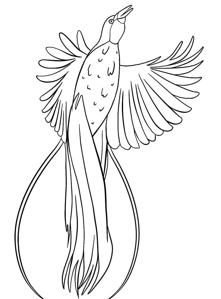Bird of Paradise Singing Coloring Page