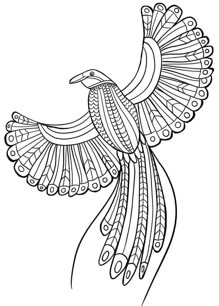 Bird of Paradise Flying Coloring Page