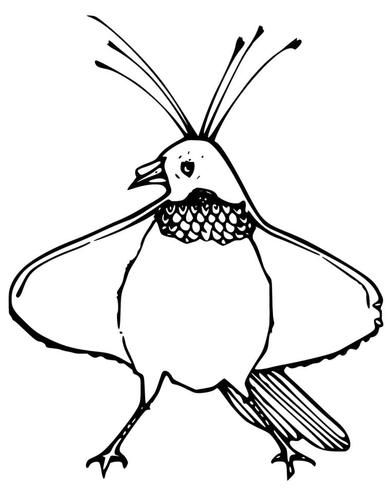 Bird of Paradise Standing Coloring Page