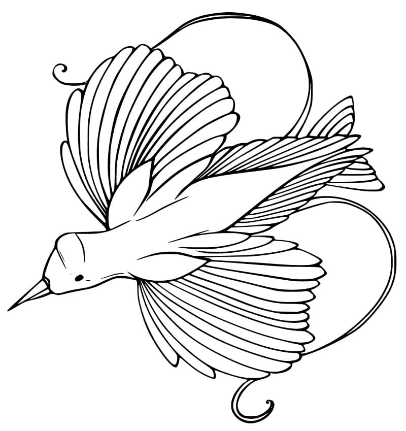 Bird of Paradise Flying Coloring Page