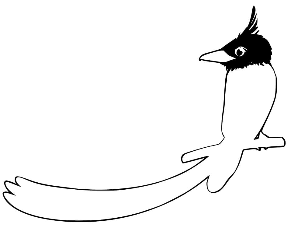 Bird of Paradise Printable Coloring Page