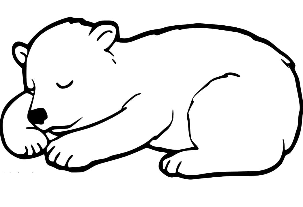 Black Bear Cub Sleeping