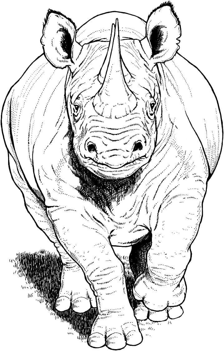 Black Rhino Running Coloring Page