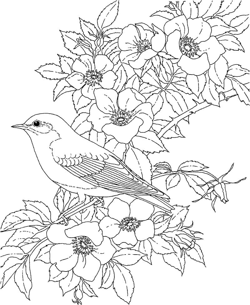 Bluebird and Flowers Coloring Page