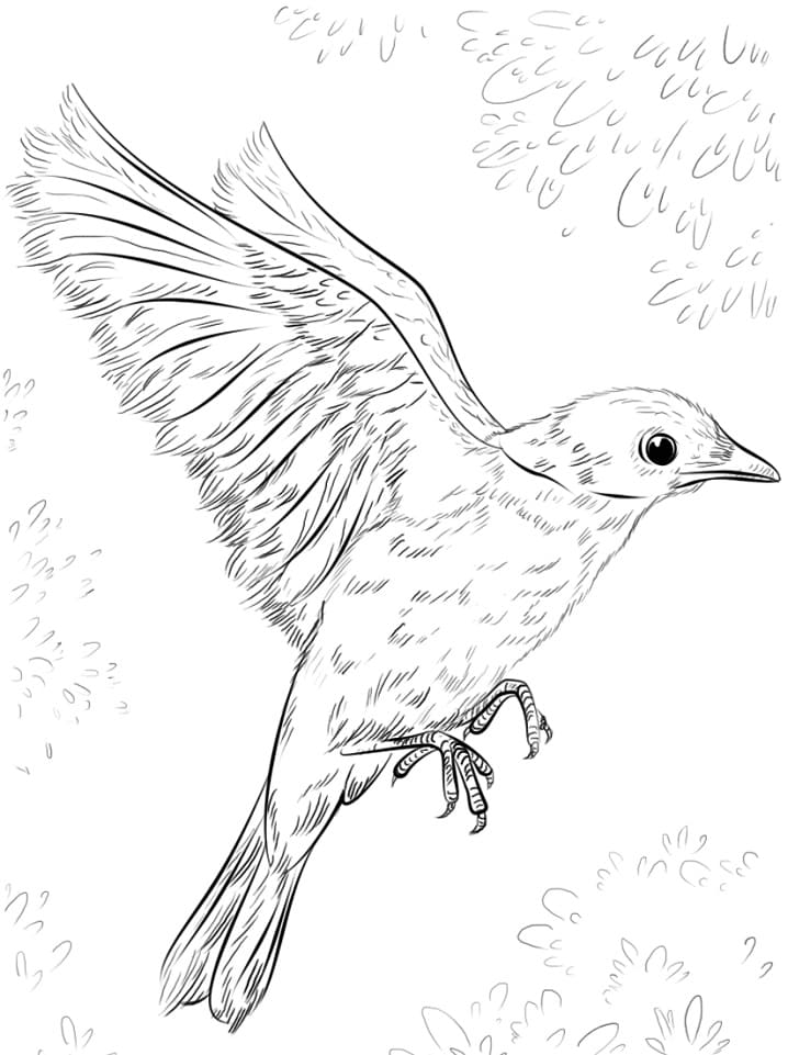 Bluebird Flying Coloring Page