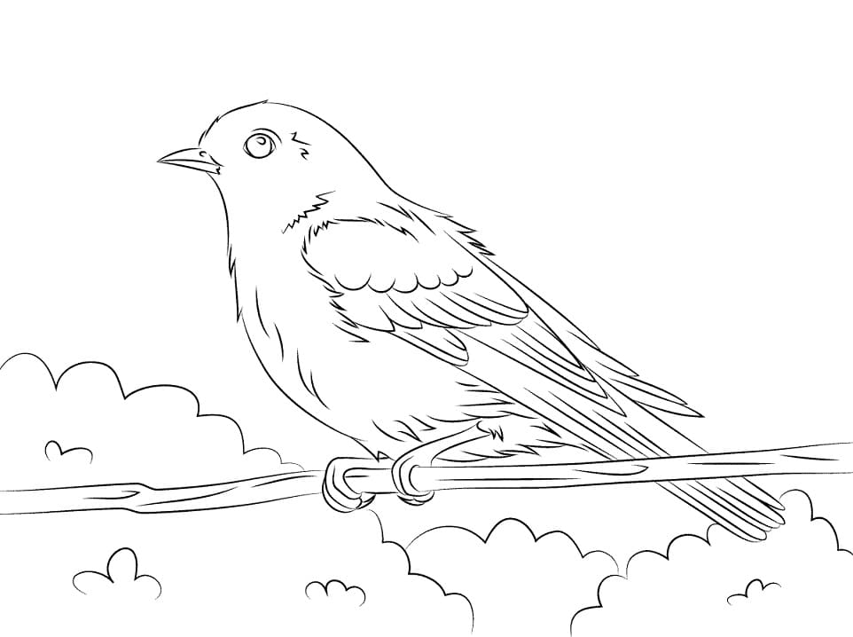 Bluebird on Branch Coloring Page