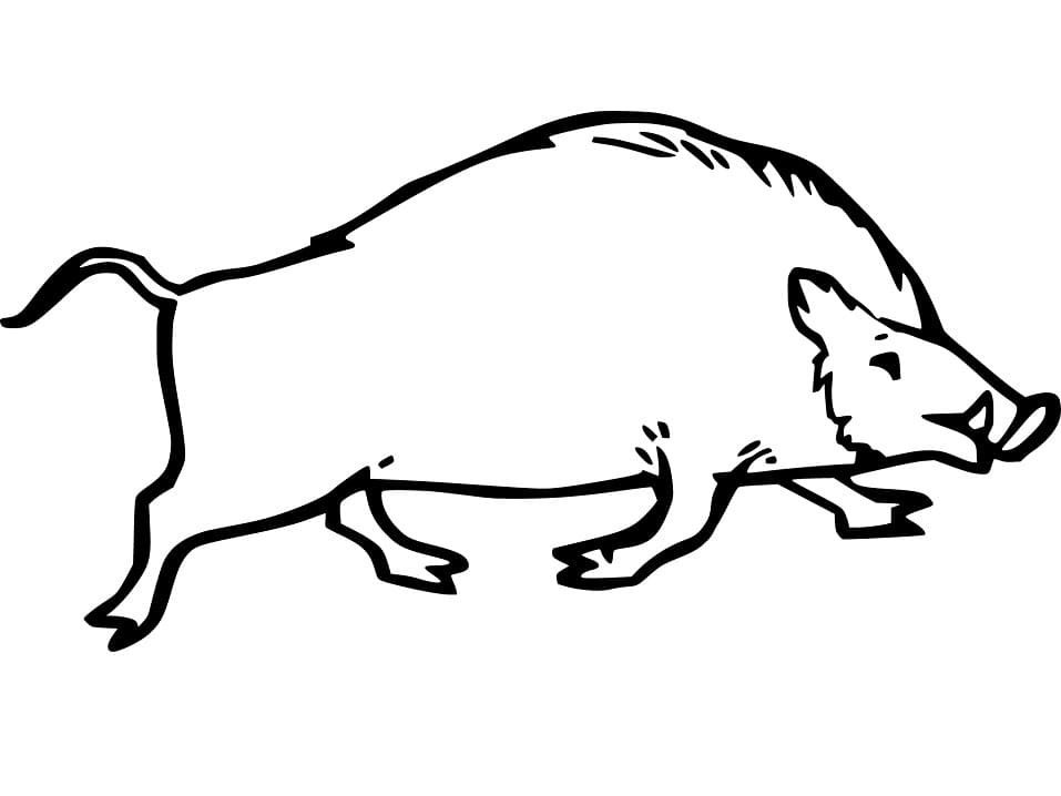 Boar is Running Coloring Page