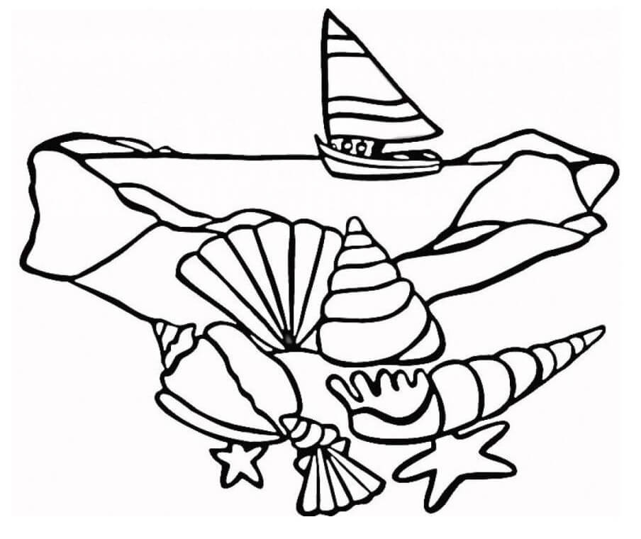 Boat and Seashells