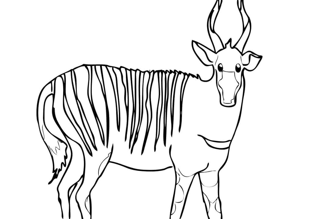 Bongo Antelope Coloring Page