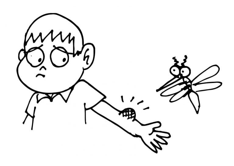 Boy and Mosquito