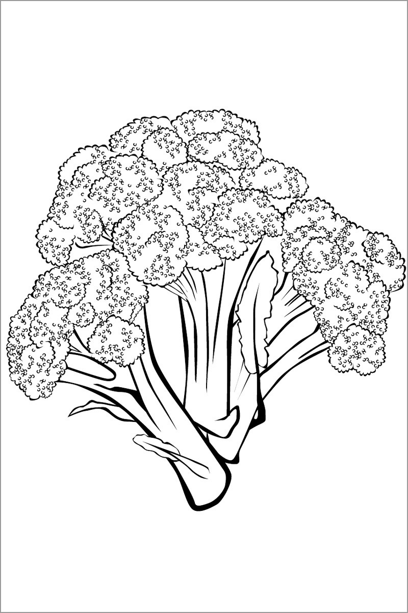 Broccoli Stalkss