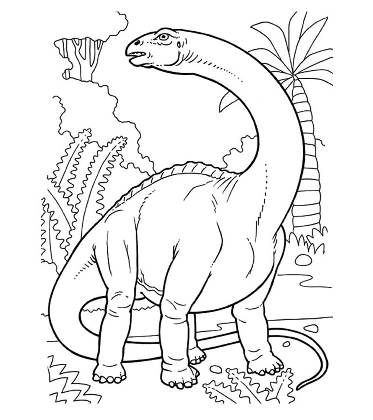 Nice Brontosaurus Coloring Page
