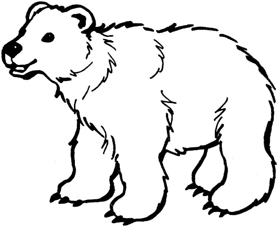 Brown Bear 1 Coloring Page
