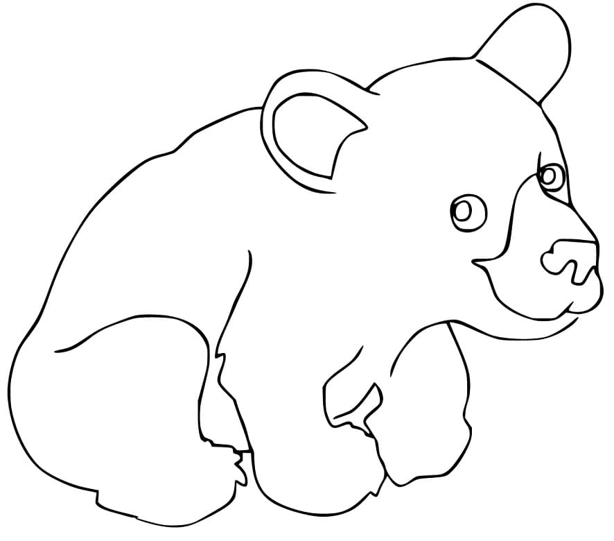 Brown Bear 11