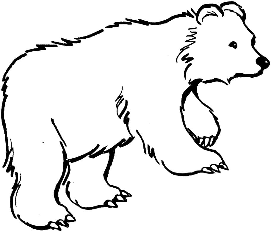 Brown Bear 2 Coloring Page