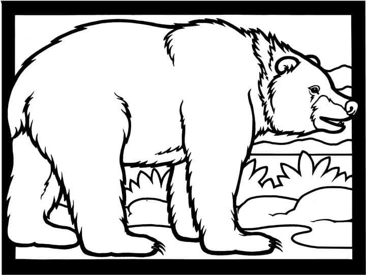 Brown Bear 3 Coloring Page