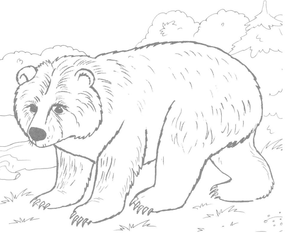 Brown Bear 4 Coloring Page