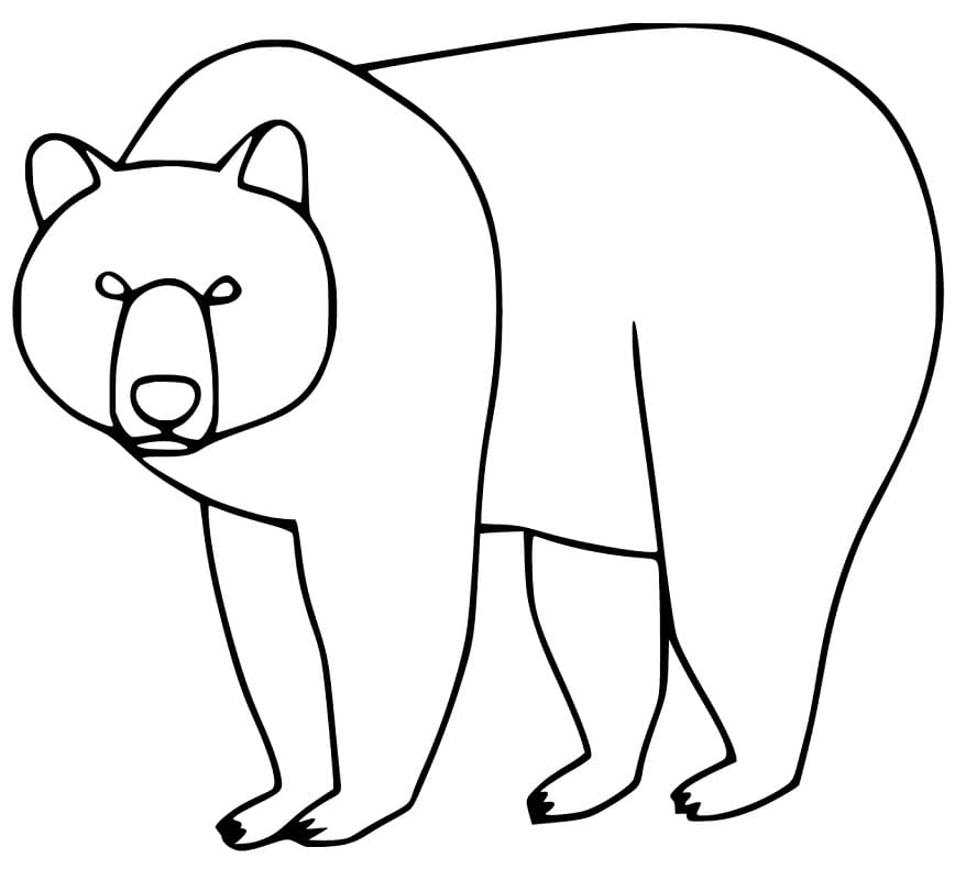 Brown Bear 8