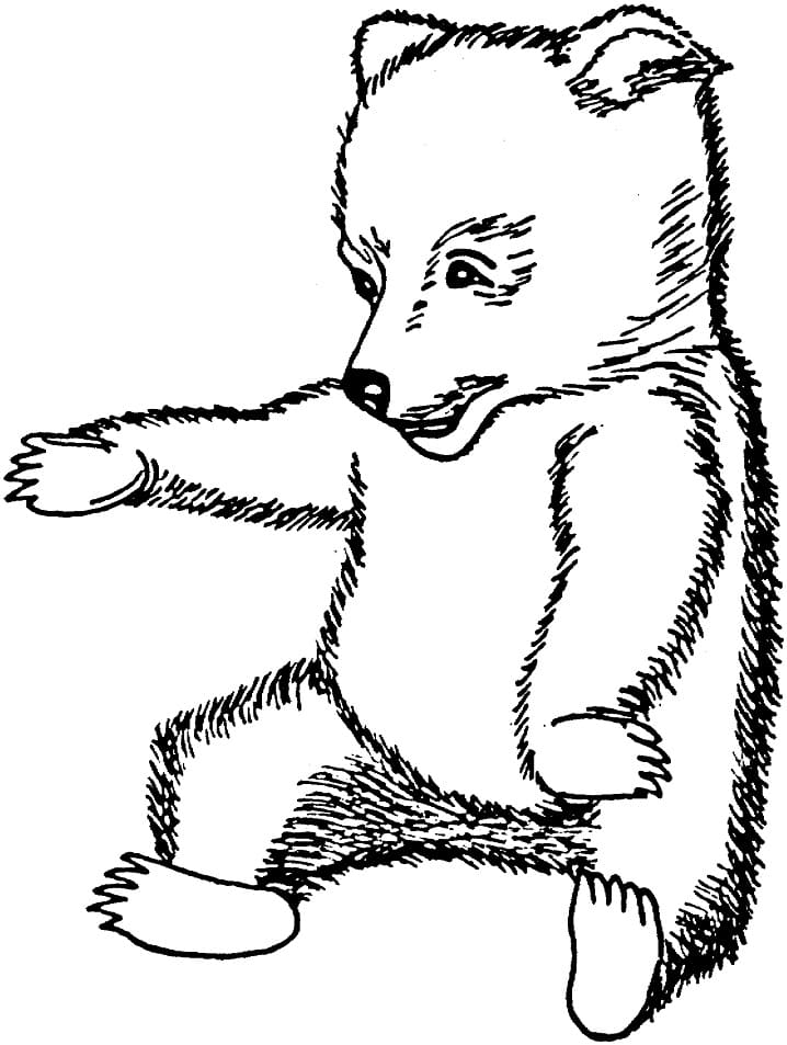 Brown Bear Cub Coloring Page