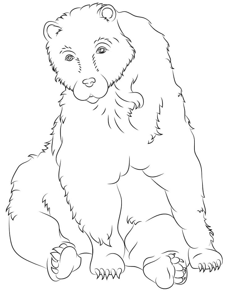 Brown Bear Sitting Coloring Page