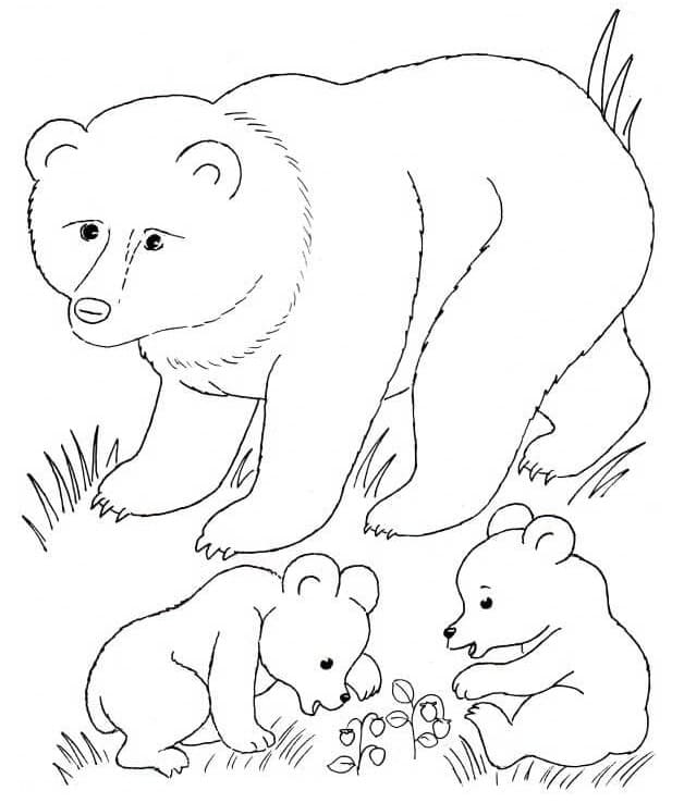 Brown Bears Family Coloring Page
