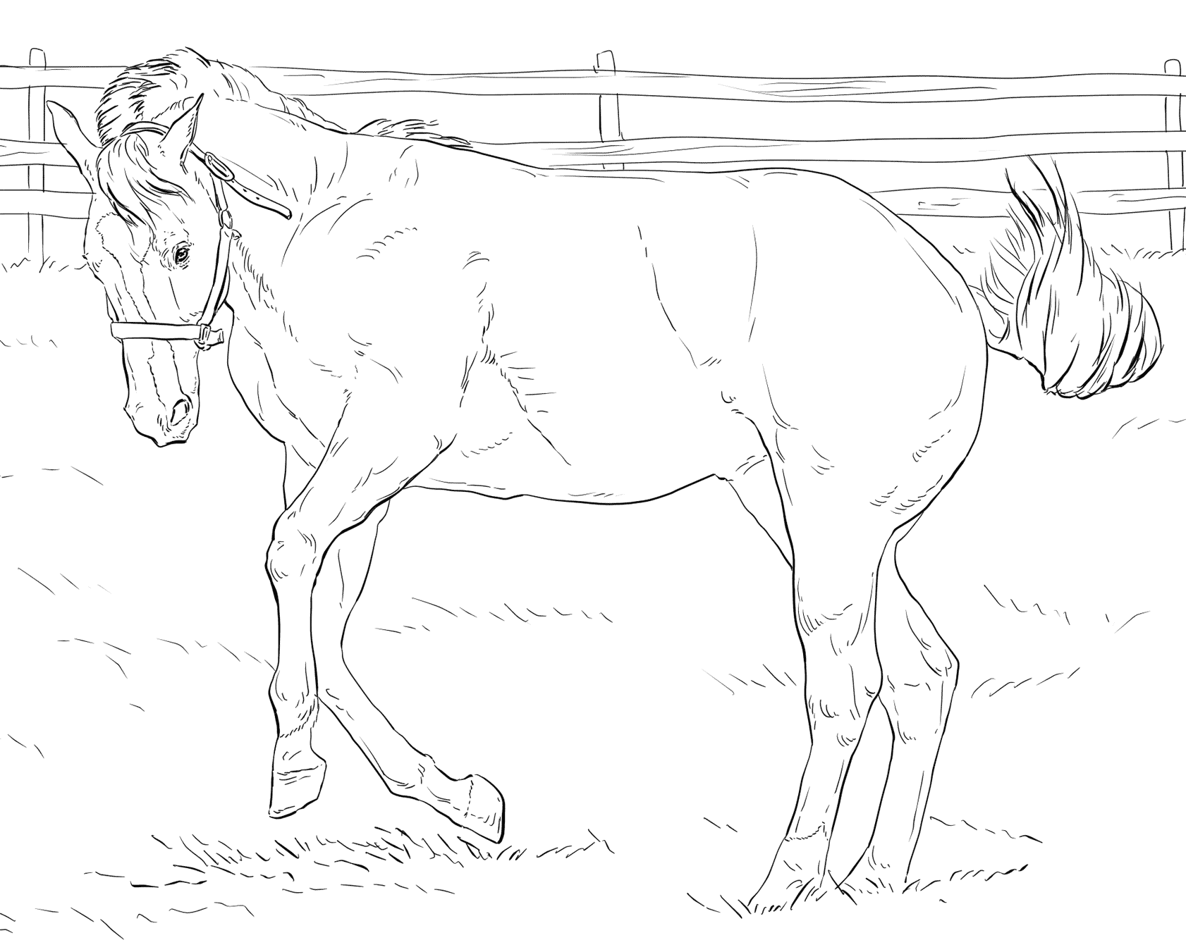 Bucking Horse Coloring Page