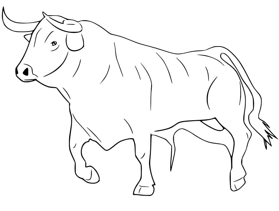Bull 2