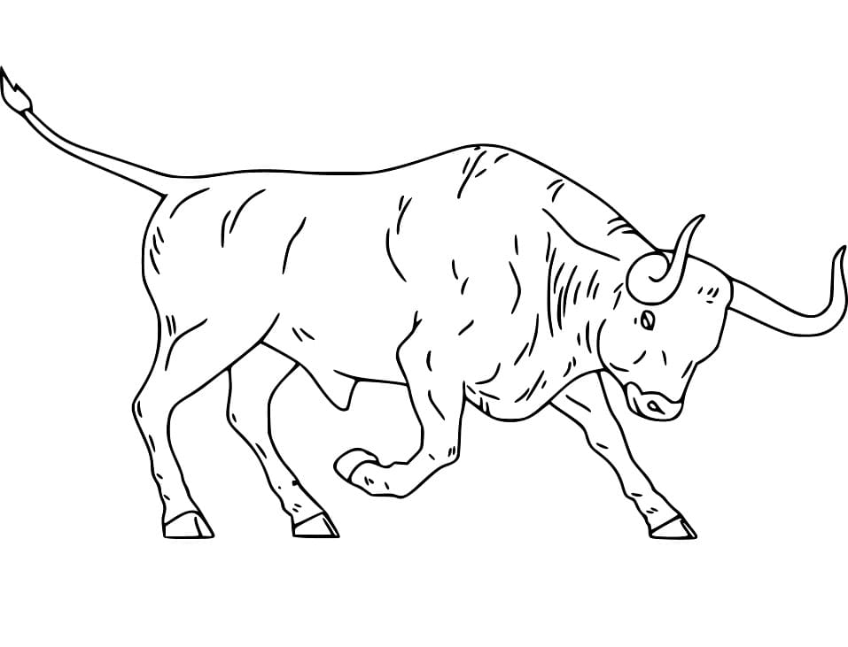 Bull 5