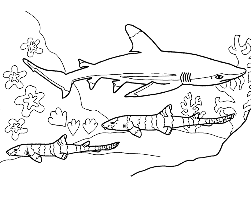 Bull Shark Under Water Coloring Page