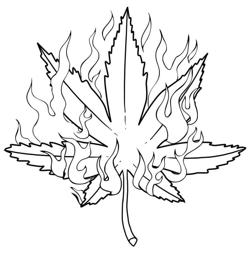 Burning Weed Coloring Page
