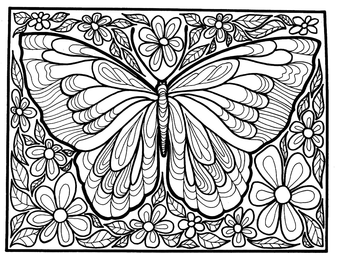 Butterfly Insects Coloring Page