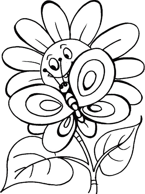 Butterfly S With Flowers Coloring Page