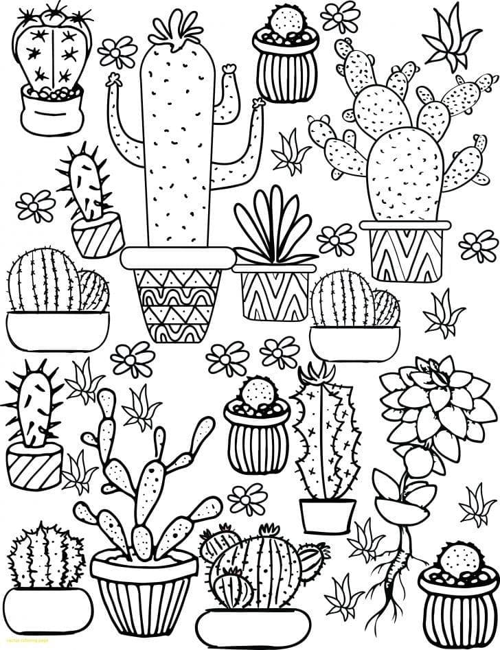 Cacti Aestheics Coloring Page