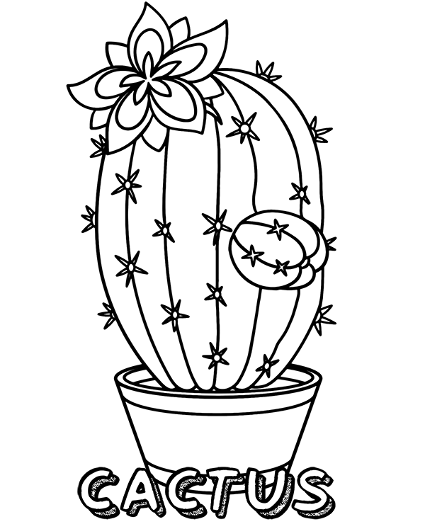 Cactus Flower In Pot Coloring Page