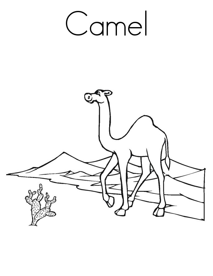Camels Online