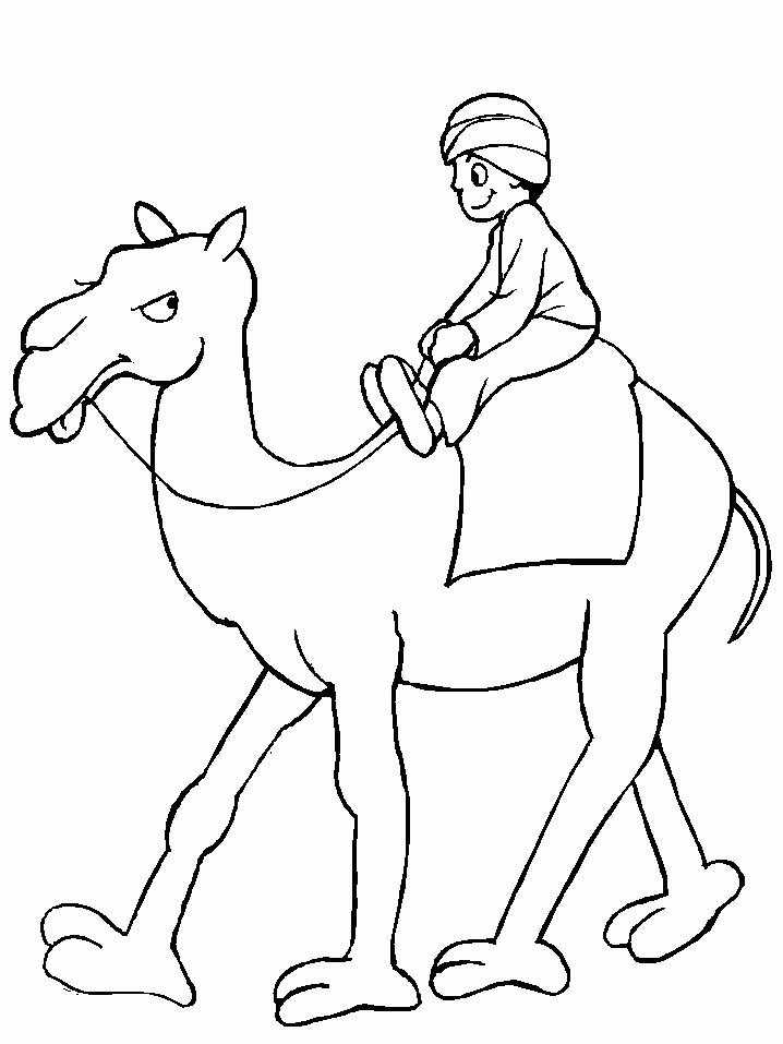 Camels Print