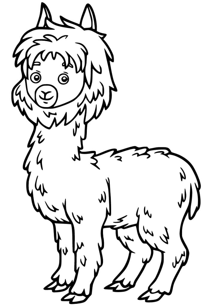 Cartoon Alpaca Coloring Page
