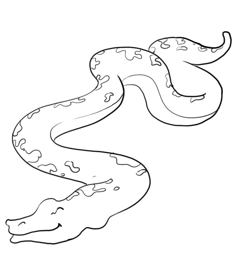 Cartoon Anaconda
