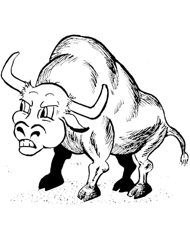 Cartoon Bull