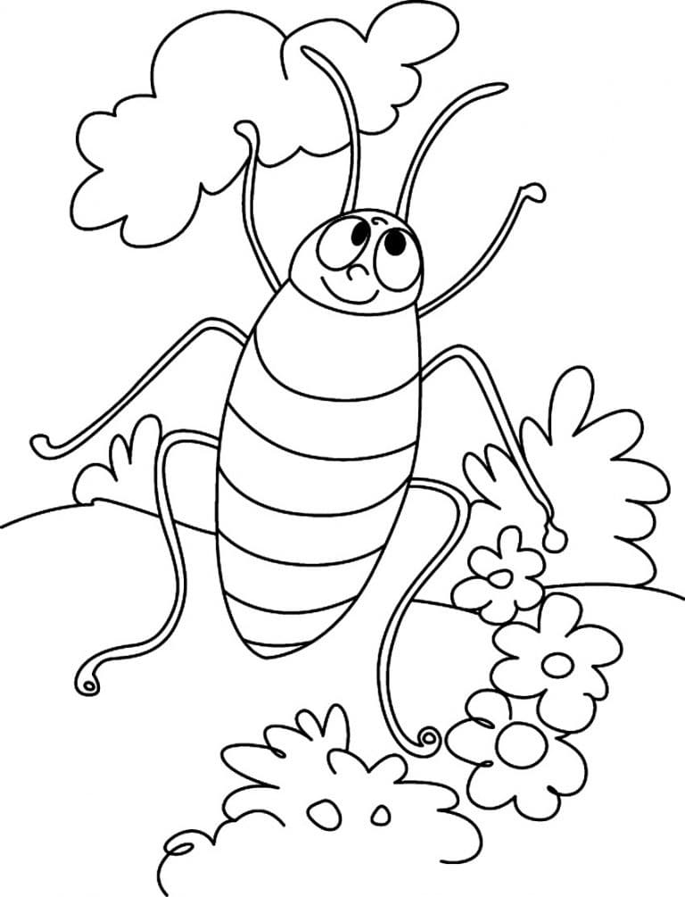 Cartoon Cockroach Coloring Page