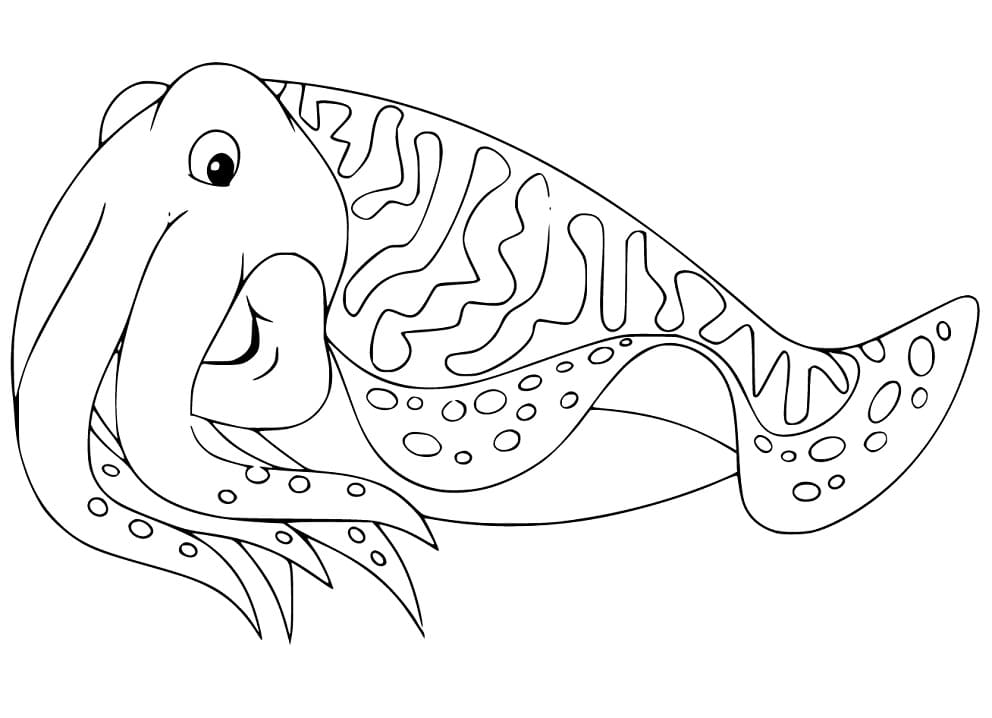 Cartoon Cuttlefish
