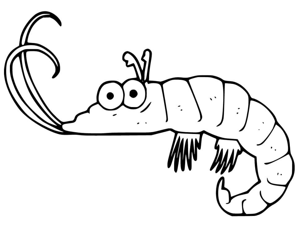 Cartoon Funny Shrimp