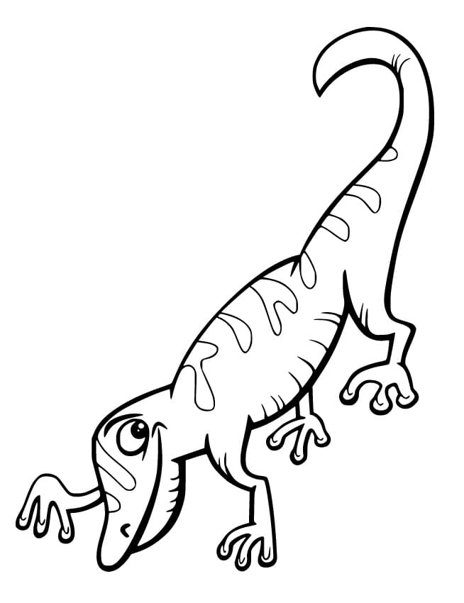 Cartoon Gecko Coloring Page