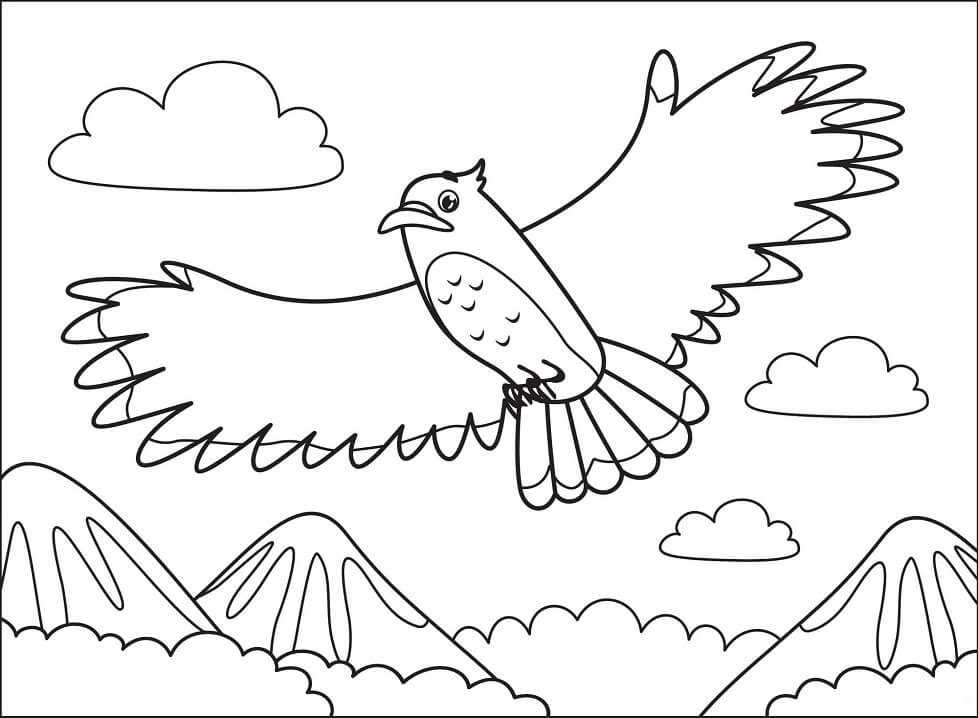 Cartoon Hawk Coloring Page
