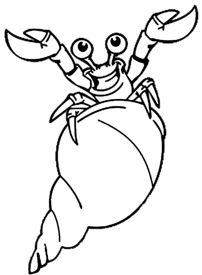 Cartoon Hermit Crab