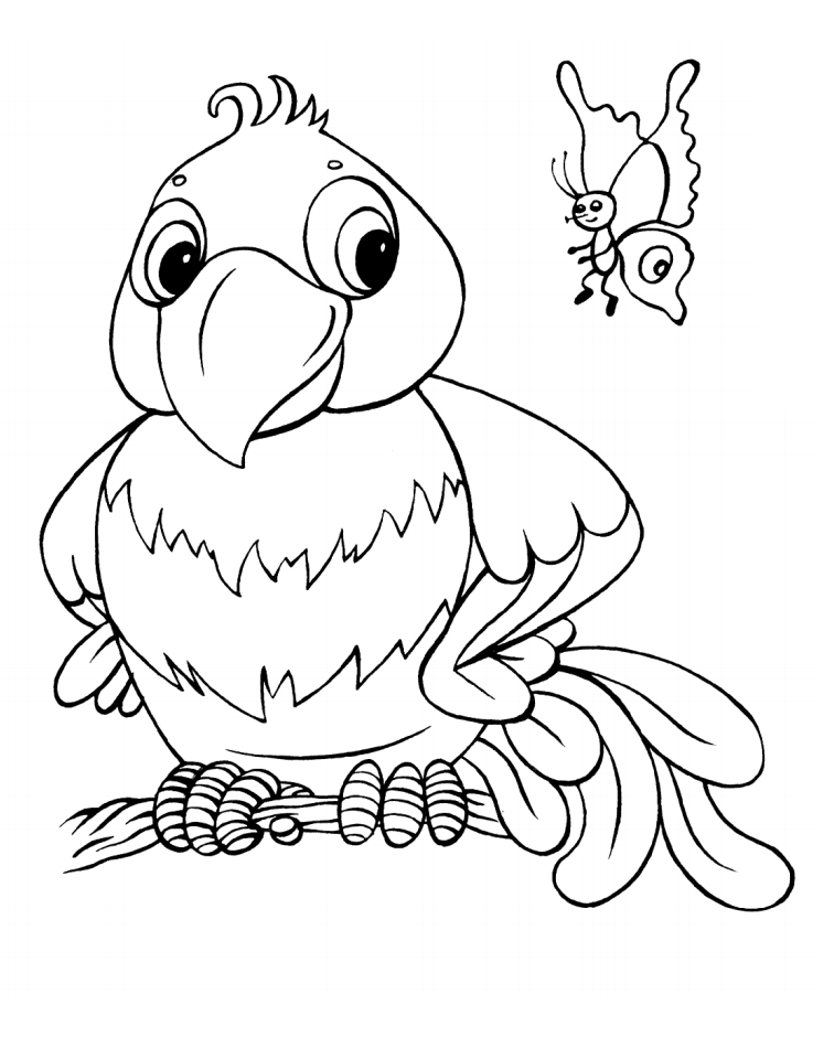 Cartoon Parrot And Butterfly Coloring Page