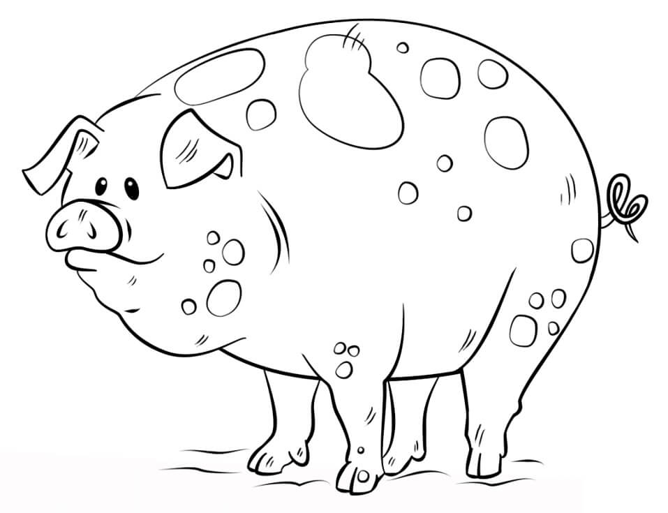 Cartoon Pig Coloring Page