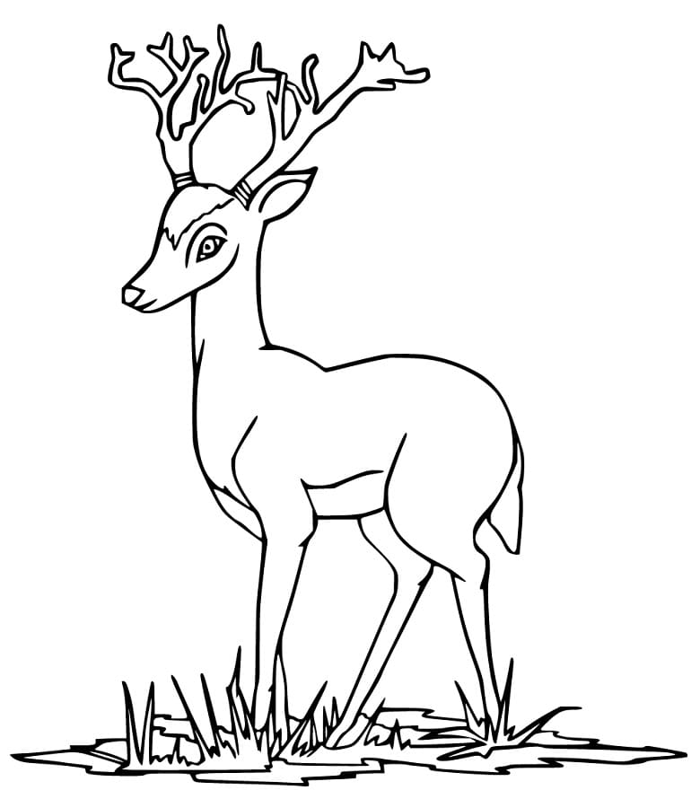 Cartoon Red Deer