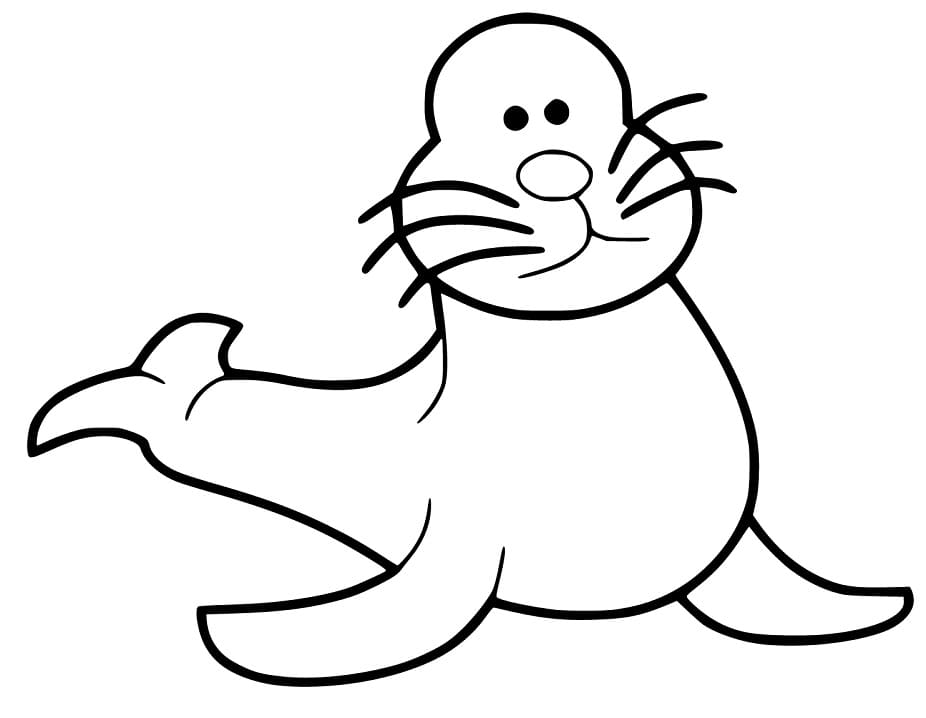 Cartoon Seal Coloring Page